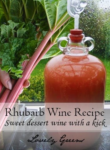 This recipe shows you how to use fresh rhubarb to make homemade sweet dessert wine with a kick #wine Use fresh rhubarb to make this sweet and summery wine. Perfect for outdoor parties, with fruity desserts, or for a girlie gathering #wine