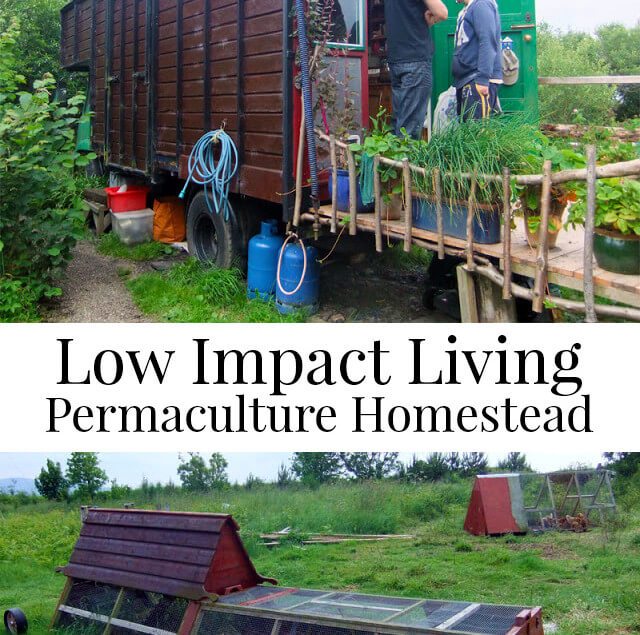 Sacrificial crops, Composting Loo, Wwoofing, and Bocking 14...intrigued? See this visit to a Permaculture homestead and learn what they have got to do with gardening! Low Impact Living - life on a Permaculture Homestead #gardening
