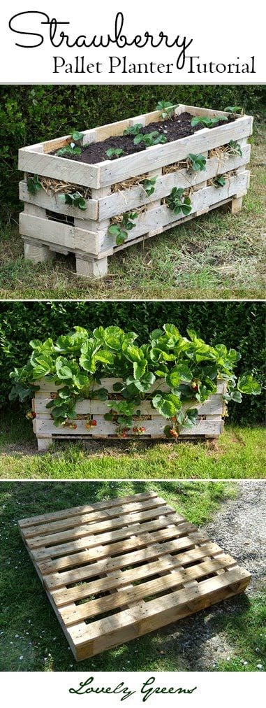 How to make a better strawberry pallet planter lovely greens