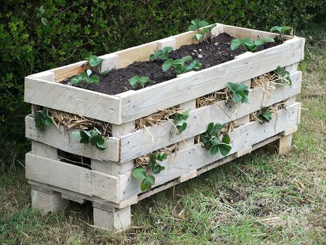 How to make a better strawberry pallet planter lovely greens