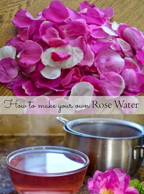 Use rose petals to make your own natural Rose Water