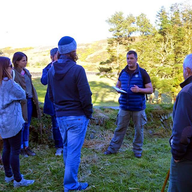 A beginner's walk to identifying wild edible plants such as sorrel, alexanders, wild strawberries, and Ramsons #wildfood A beginner's walk to identifying wild edible plants such as sorrel, alexanders, wild strawberries, and Ramsons #wildfood