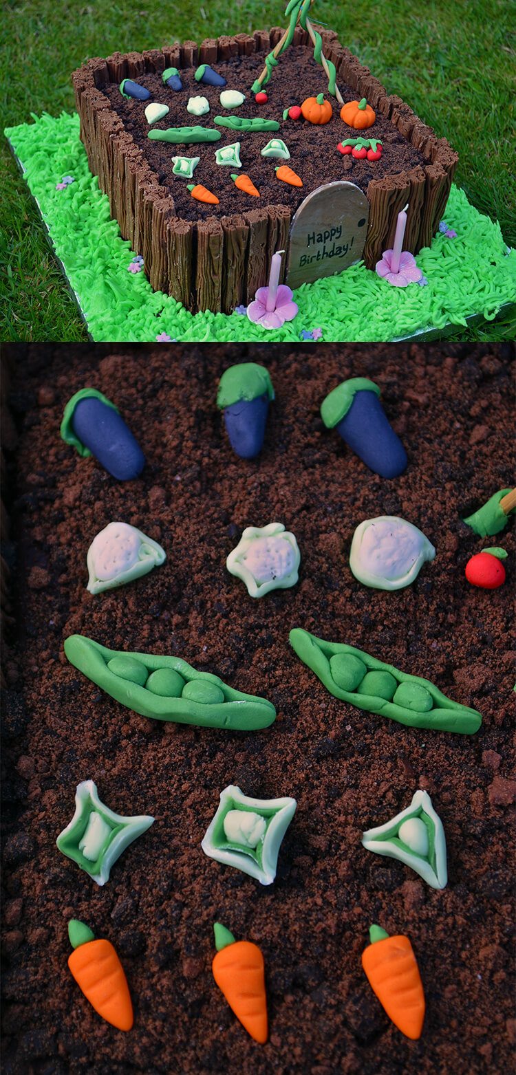 Garden themed birthday cake with sugar vegetables, crumbled cookie soil, and a fence made of chocolate.