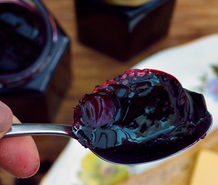 Sweet Elderberry Jelly recipe - ingredients: elderberries, lemon juice, sugar, pectin. Makes an excellent preserve that can be served in both sweet and savory dishes. Or just on toast if you prefer!