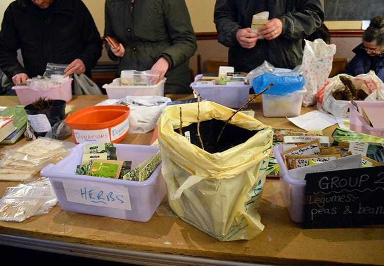 Seed and Plant Share + Gardeners Social. Sunday, March 13th 2016, Laxey Sailing Club Seed and Plant Share + Gardeners Social. Sunday, March 13th 2016, Laxey Sailing Club