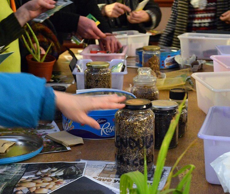 12 Tips on Organizing a Seed Swap - an event where gardeners share seeds and plants for free.