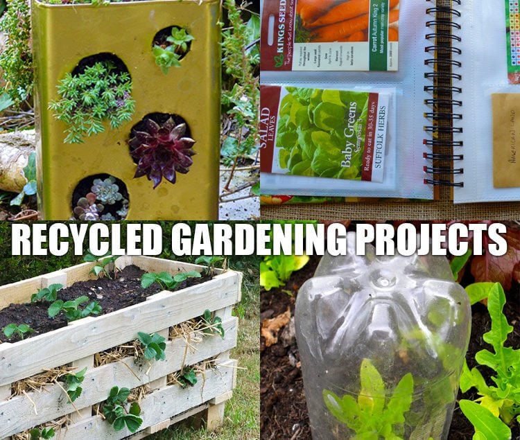 9+ Recycled Projects and Ideas for your Garden