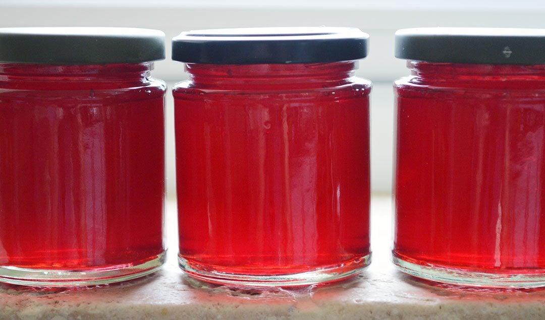 Hedgerow Jelly Recipe
