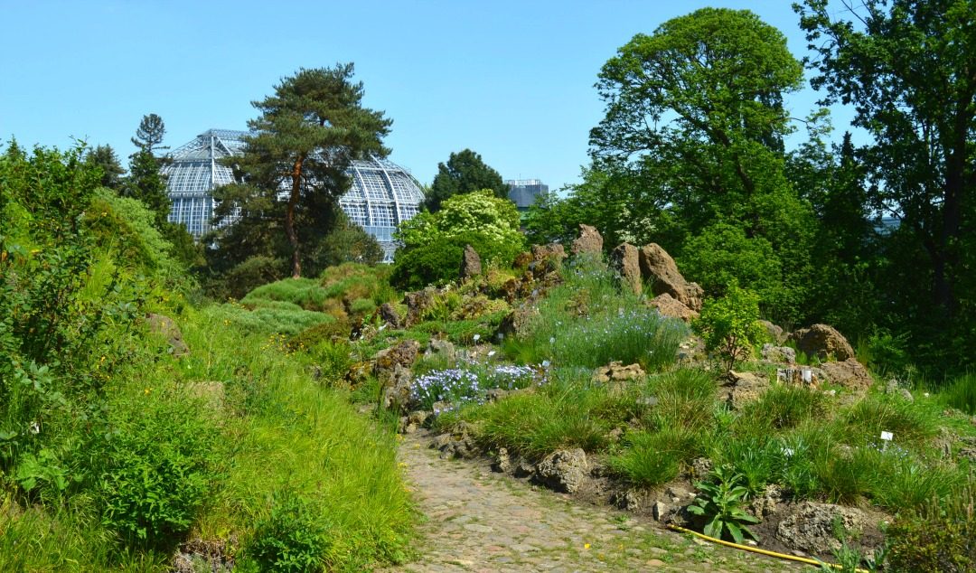 Outdoors at the Berlin Botanical Garden