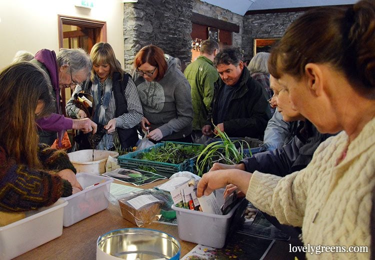 The 2017 Seed Swap & Plant Share is taking place on Sunday, April 9th at the Laxey Sailing Club on the Isle of Man. Entrance and seeds are free!
