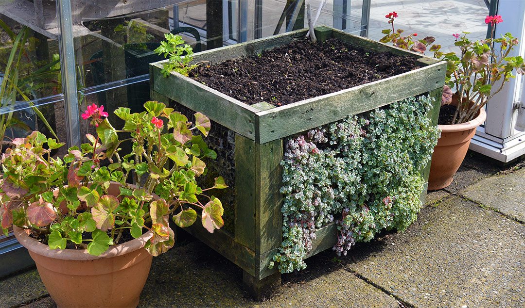 DIY Pallet Planter -- grow edibles on the top and succulents on the sides