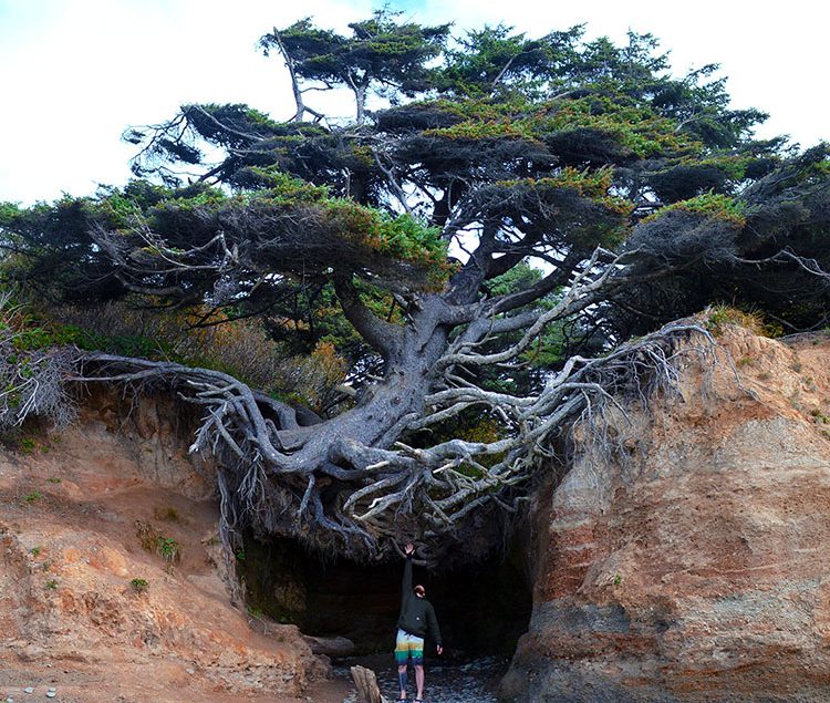 14 Earth-friendly things to do in Seattle {& western Washington}