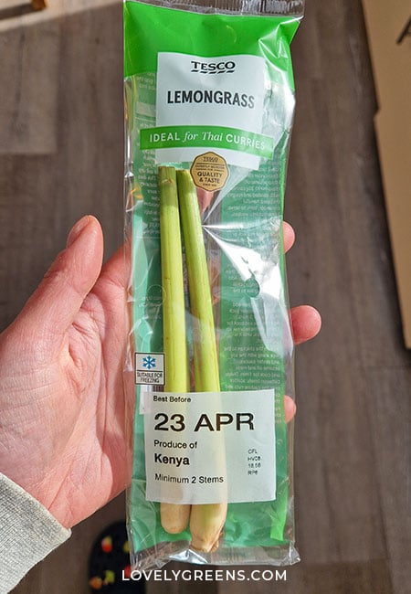 A hand holds a pack of two lemongrass stems in plastic supermarket wrapping.