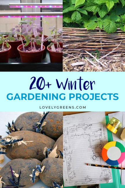 20 Winter garden projects for the vegetable garden including the earliest seeds to sow, forcing rhubarb, recycled garden projects, pruning, and more #gardeningtips #vegetablegarden #diygarden Winter gardening ideas including DIY plant pots, making garden supports, planting bare-root plants, and starting the first seeds #gardening #diygarden