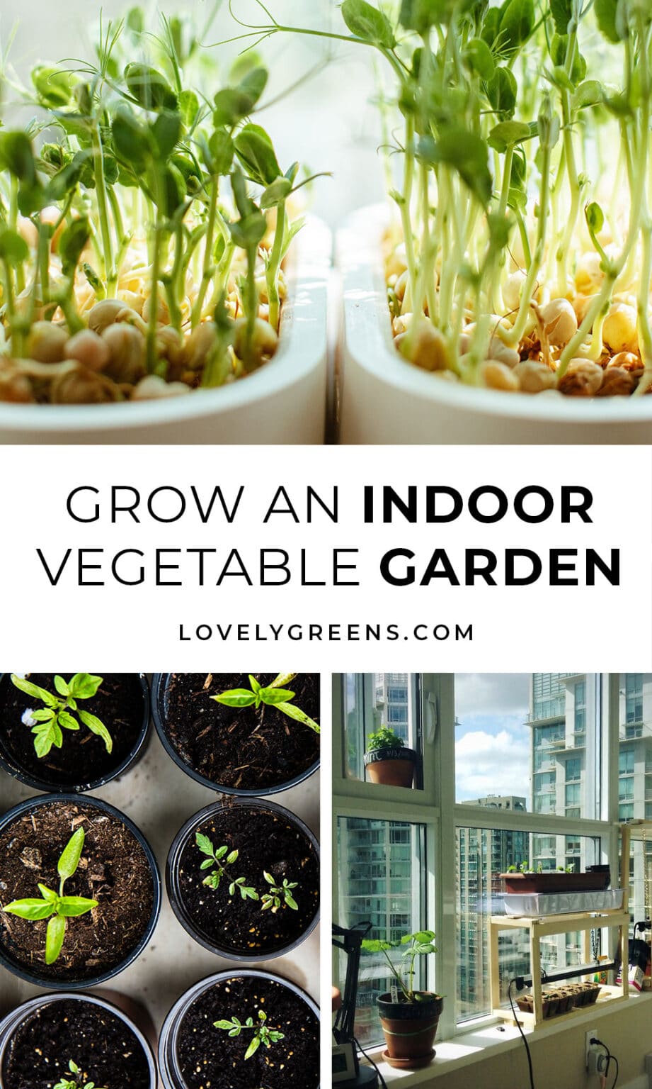 Useful Tips for How to Grow an Indoor Vegetable Garden • Lovely Greens