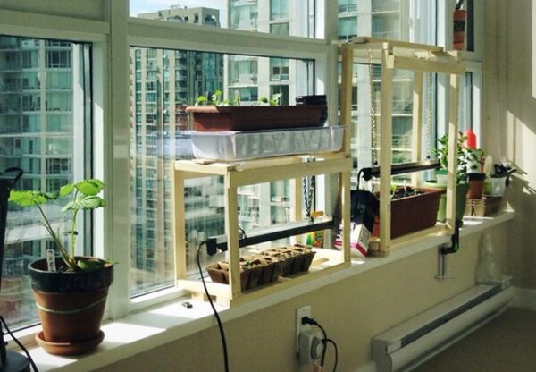 Useful Tips for How to Grow an Indoor Vegetable Garden • Lovely Greens