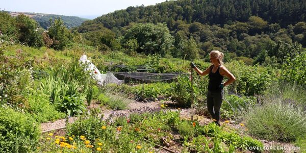 How to Grow Vegetables During a Drought