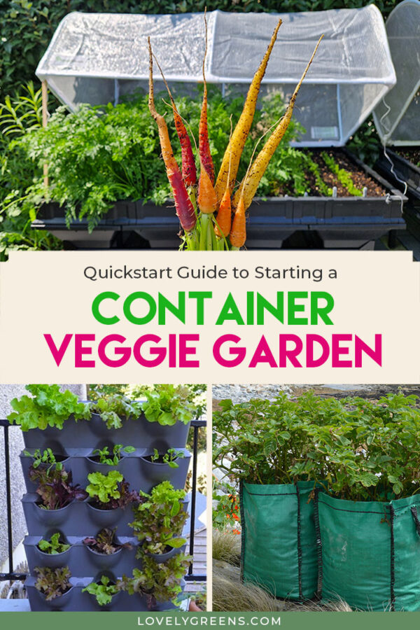 Quickstart Guide to Container Vegetable Gardening • Lovely Greens