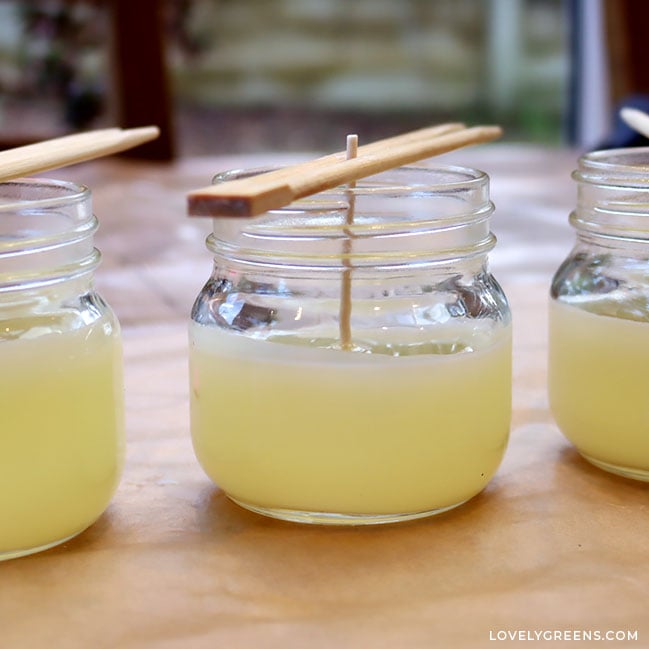 Looking from the side at a half-pint mason jar filled about three-quarters full of light yellow semi-liquid wax.