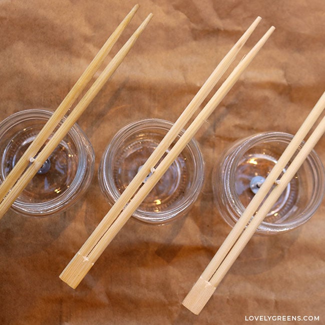 Looking down at three half-pint mason jars fitted with wicks. The wicks are held centered by unbroken wooden chopsticks.