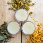 Three creamy-colored lip balms in round containers sit on a wood table with dried herbs around them.