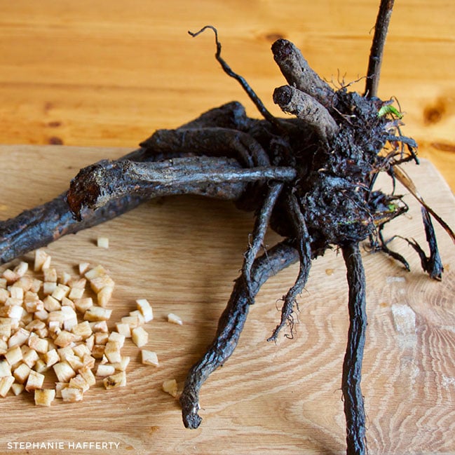 A dark brown comfrey root crown with green leaves growing from the top. It's sitting on a wooden chopping board with peeled and cubed pieces of comfrey to the left of it.