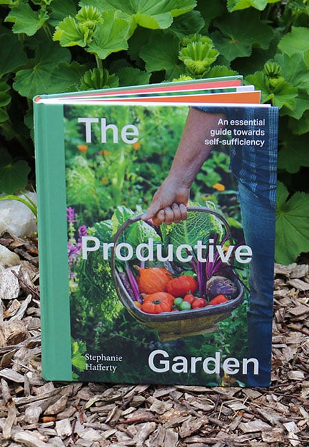A collection of simple herbal remedies that you can make with plants from the garden. Each is completely natural and useful for treating minor cuts, bruises, and burns #herbalmedicine #homesteading #naturalremedies