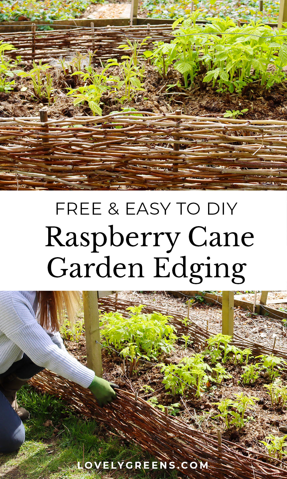 Building A Raspberry Cane Support DIY Raspberry Cane Garden Edging • Lovely Greens