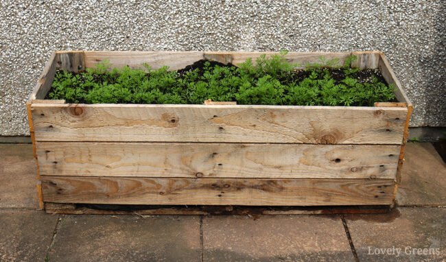 How to Build a Pallet Planter in 5 Easy Steps • Lovely Greens