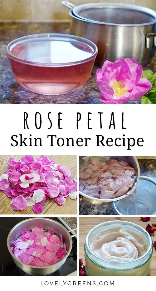 How to make Rose Water Toner using fresh Rose Petals • Lovely Greens
