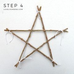 How to Make a Simple Twig Star • Lovely Greens